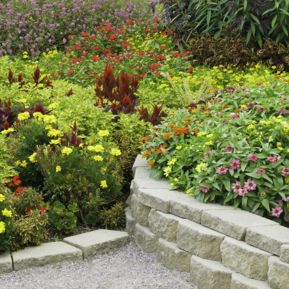 profusion-of-flowers-in-summer-garden-2026-01-09-14-49-50-utc